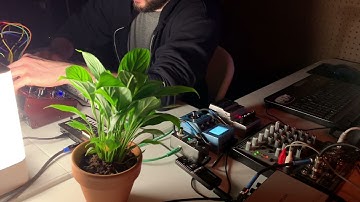 Quick ambient soundscape