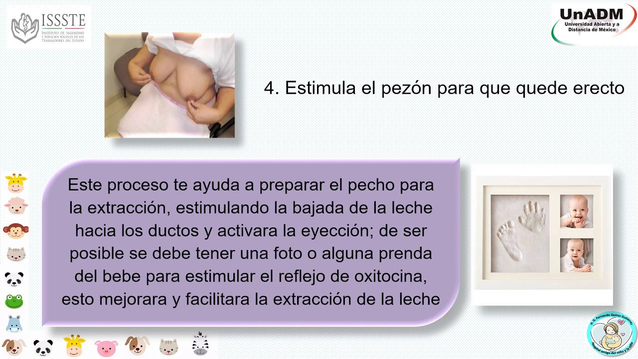 Cuanto Dura Leche Materna Una Vez Calentada