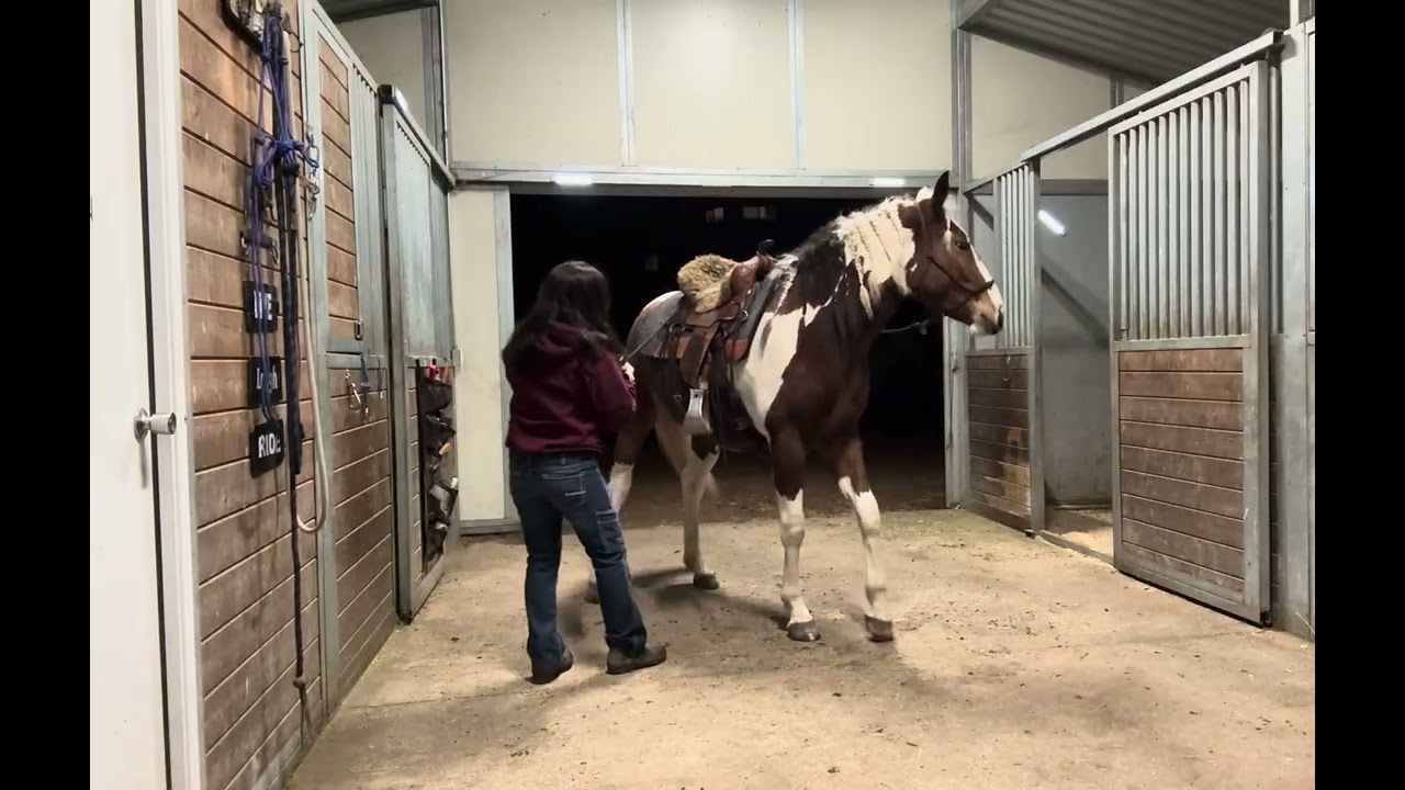 First time practicing lateral flexion (saddled) standing on the opposite side. Mar. 4, 2026