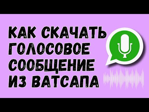 Как Скачать Голосовое Сообщение Из Ватсапа [подробная инструкция]