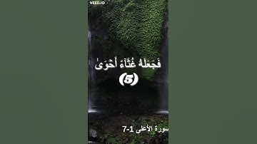 تلاوة خاشعة | سورة الاعلى 1-7