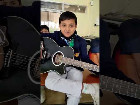 Hertz guitar review