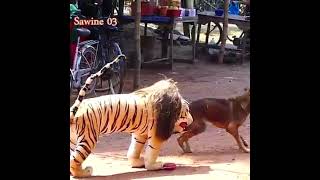 Scared prank, fake lion vs Dog ||misterfuntube -best prank ever