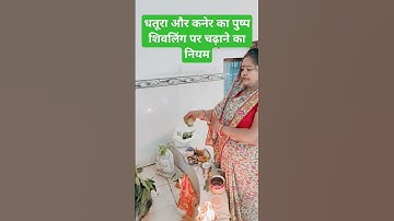 धतूरा और कनेर का पुष्प शिवलिंग पर चढ़ाने का नियम #pandit_pradeep_ji_mishra #video #shorts_viral