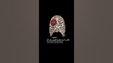 الذين آمنوا وتطمئن قلوبهم بذكر الله تلاوة خاشعة عبدالرحمن مسعد راحه نفسيه #عبدالرحمن_مسعد #قرآن