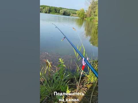 Рыбалка на Озере Удочка донка! - YouTube