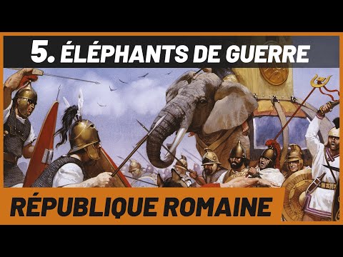 Vidéo: Que signifie un éléphant dans l'armée ?