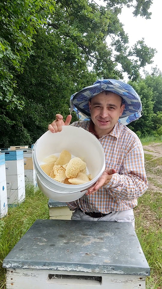 Нарешті! Вже їм липовий мед! 🍯 ️ #мед #липовиймед #солодке - YouTube