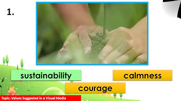 Grade 6 English - MELC Quarter 1 - Values Suggested in Visual Media