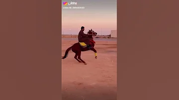 إحنا صعايده 