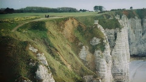 healthy brain + nervous system subliminal