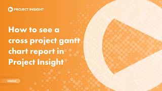 How to See a Cross Project Gantt Chart Report in Project Insight