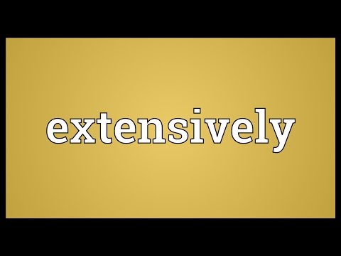 Extensively Meaning