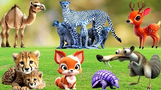 Wild Animals Sound:Zebra,Lion,Bull, Lizard, Wellthebest, Sparrows, Hyena,bird