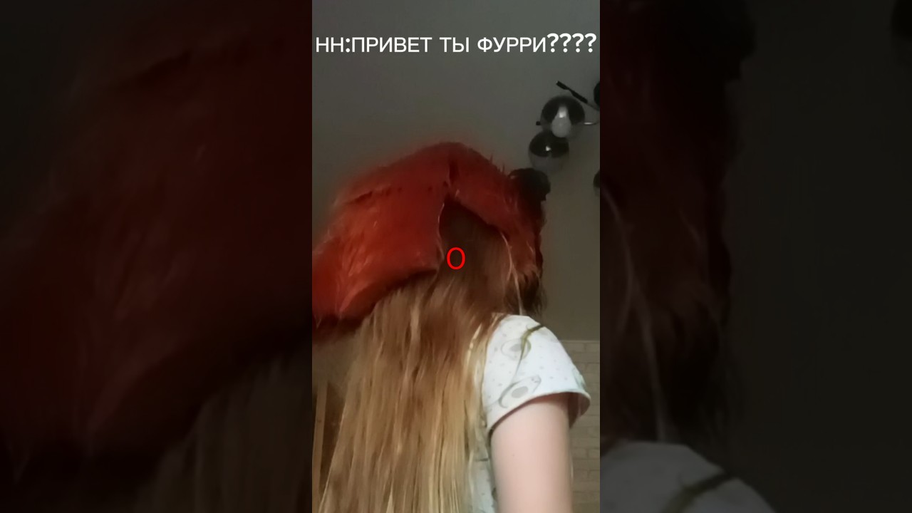 хз что это #furry #sansmeme