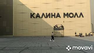 Магазин Калина Молл г.Владивосток Калинина 8.Изменить законодательство о мародерах .