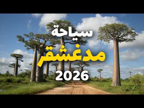 فيديو من قناة كولومبوس