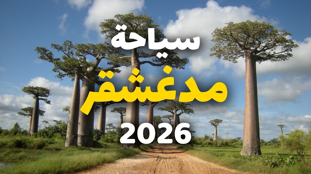 تجربتي في مدغشقر | أروع الأنشطة، خطة شاملة للسفر ونصائح