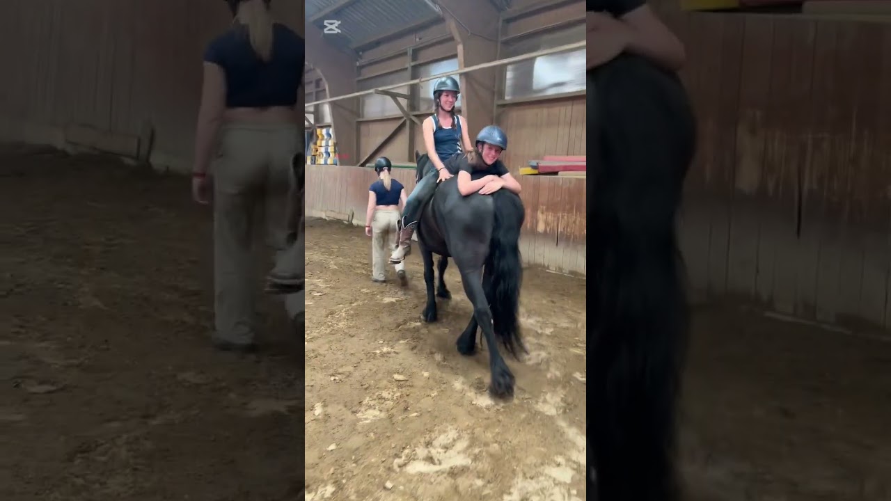 Letztes Reitcamp 2025