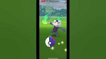 WOW!!! Shiny in field research task ✨ 🤩