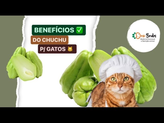 BENEFÍCIOS DO CHUCHU P/ GATOS