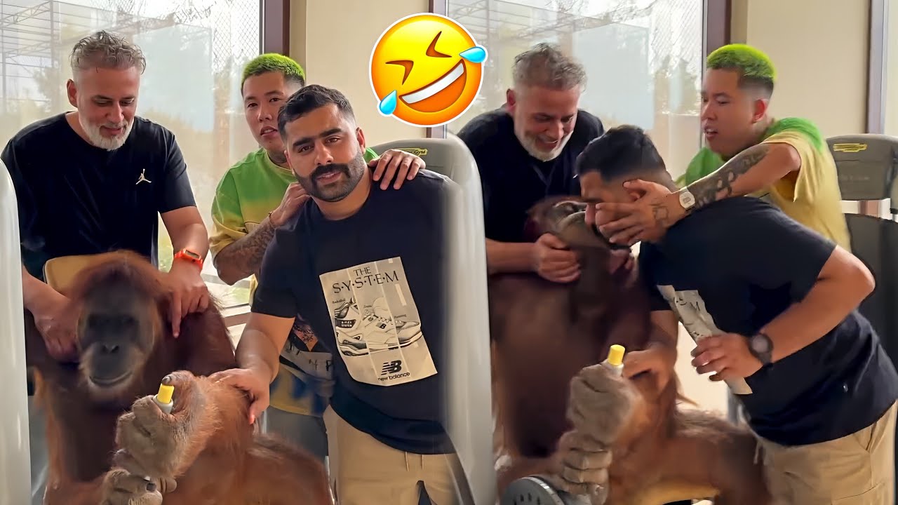 Best Arab Friends Pranks 🤣 Videos 
