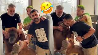 Best Arab Friends Pranks Videos Arabs Are Very Funny Arabic Humor Hub