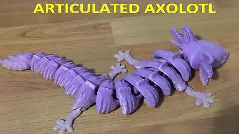 Axolotl 3D Print Time Lapse