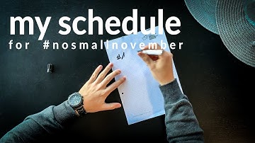 schedule of my #nosmallnovember