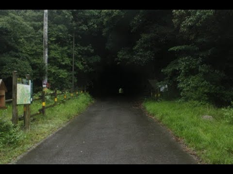 閲覧注意　心霊スポット　山神トンネル