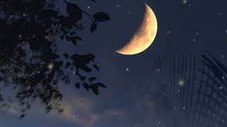 Forest sounds for relaxation - magical night atmosphere, fireflies, frogs, crickets