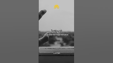 تلاوه خاشعه| الشيخ محمد صديق المنشاوي