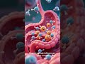 Your Body Has a Second Brain