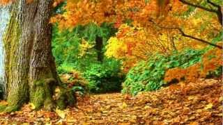 Various Artists - Autumn Leaves (guitar) chords