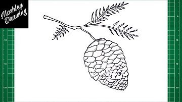 How to Draw a Pinecone Step by Step