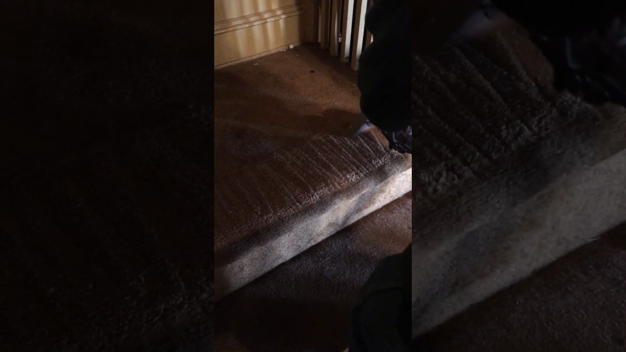Staircases can take a beating if carpets not cleaned regularly YouTube