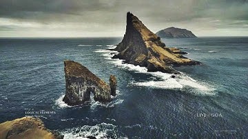 LOGICAL ELEMENTS - Virgin forest