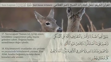سورة لقمان مكتوبة/ناصر القطامي