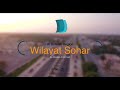What you need to know about sohar