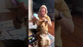 Unboxing April BarkBox