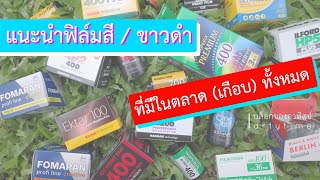 แนะนำฟิล์มสี/ขาวดำ + เทียบสี (เกือบ) ทั้งหมดในตลาด | บล็อกของอาทิตย์