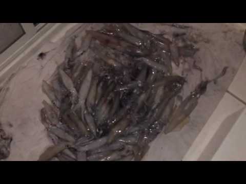 Video: Solyanka Z Ribami In Lignji
