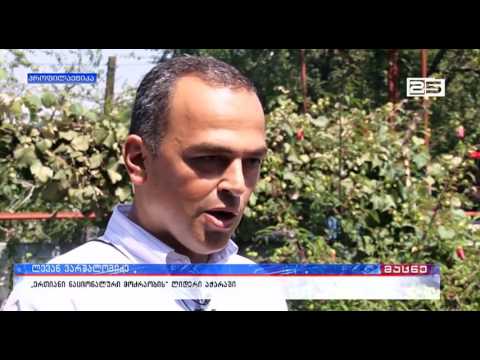 ლევან ვარშალომიძემ ხელისუფლება ქობულეთში განუხორციელებელი პროექტების გამო გააკრიტიკა