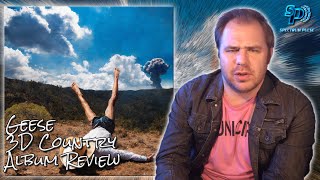 Geese - 3D Country - Album Review