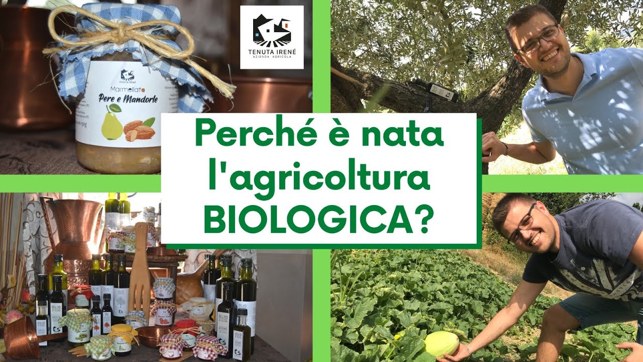 Perché è nata l'agricoltura BIOLOGICA? - YouTube