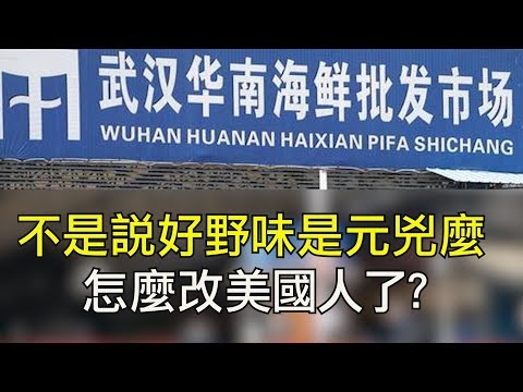 江峰：华南海鲜市场拆除与新一轮政治动向； 距离中共远近与感染机会大小有关系麽？任志强的炮声能传多远？