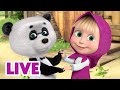 🔴 AO VIVO 👱♀️🐻 Masha e o Urso 👋 Prazer em conhecê-lo 🤝 Masha and the Bear LIVE