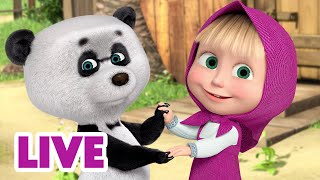 🔴 Ao Vivo 👱♀️🐻 Masha E O Urso 👋 Prazer Em Conhecê-Lo 🤝 Masha And The Bear Live