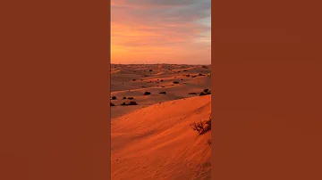 فى بقعة من بقاع الأرض النقشبندى 