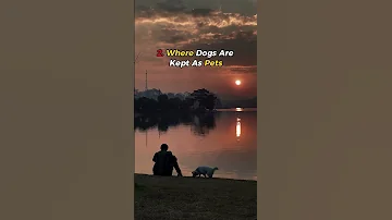 Places Where Angels Don T Enter Foryourpage Yutubeshorts Viralshort 